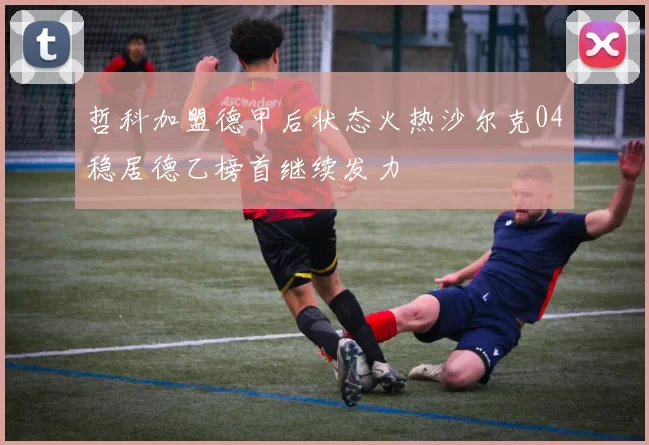 哲科加盟德甲后状态火热沙尔克04稳居德乙榜首继续发力