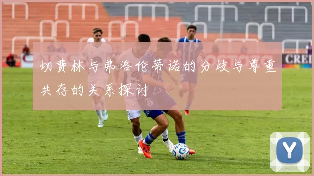 切费林与弗洛伦蒂诺的分歧与尊重共存的关系探讨