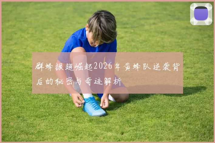 群蜂振翅崛起2026年黄蜂队逆袭背后的秘密与奇迹解析